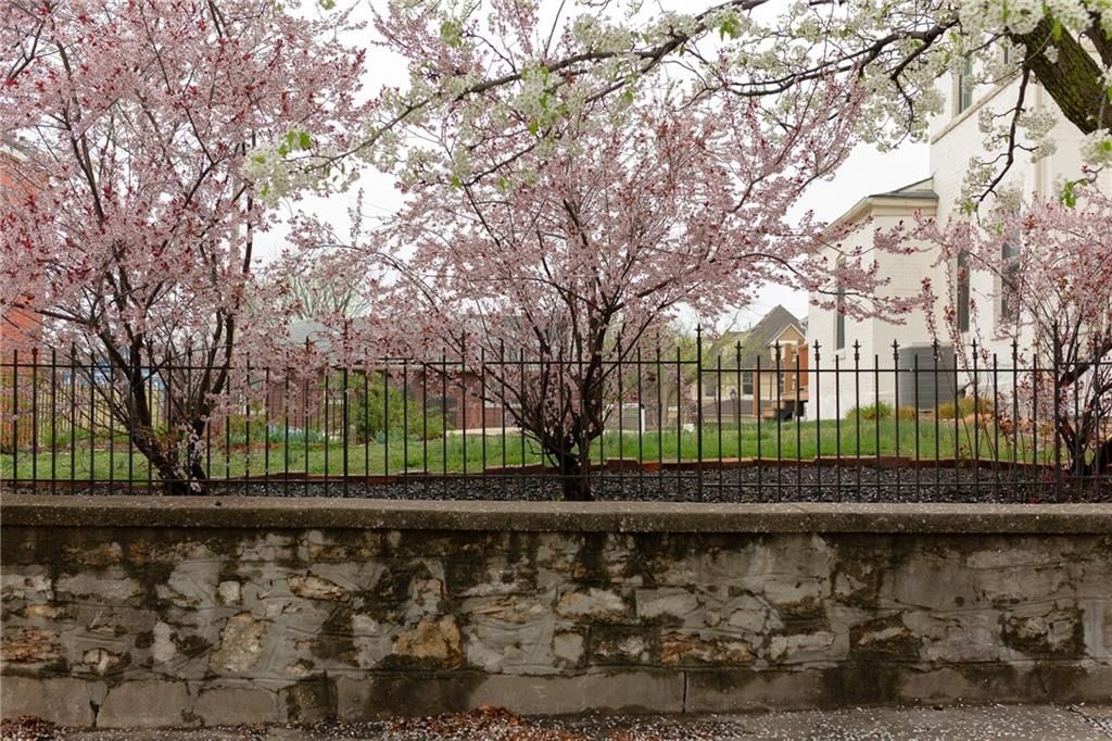 516 Olive Street — photo 60