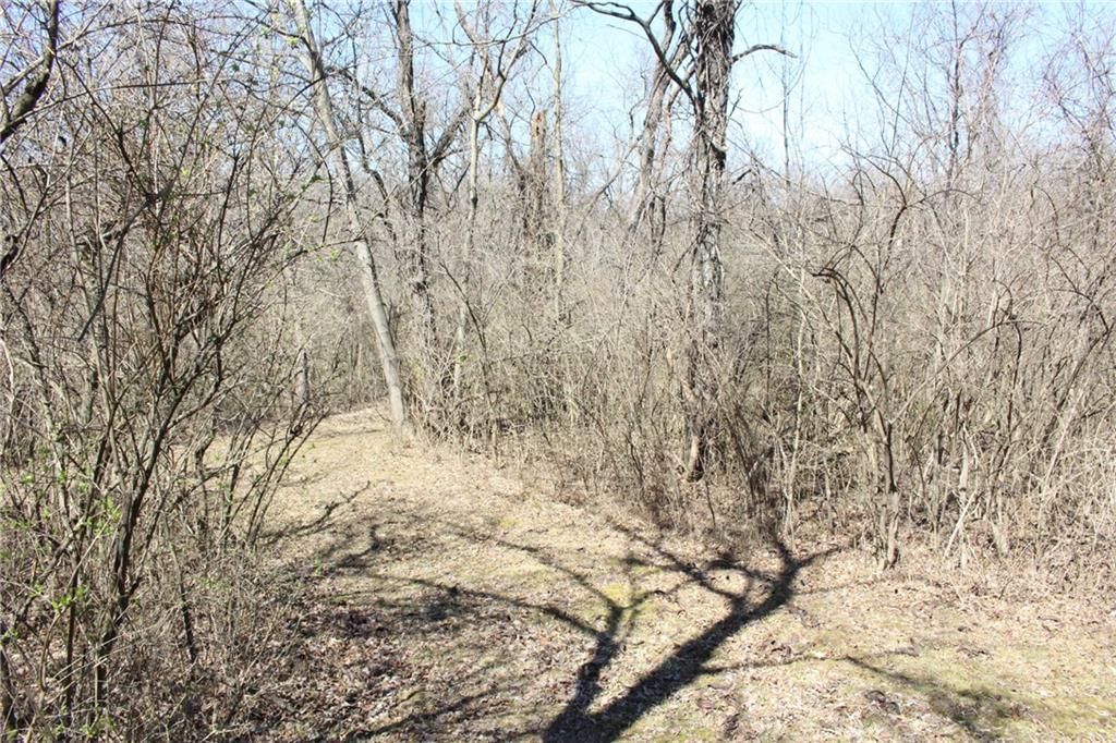 8210 Leavenworth Road — photo 24