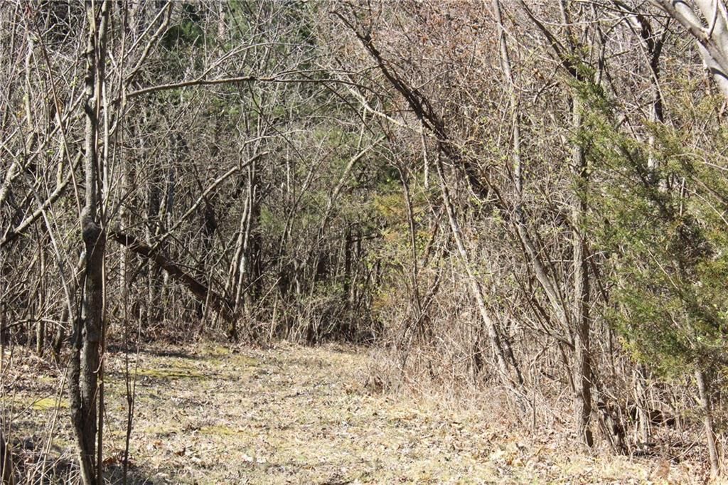8210 Leavenworth Road — photo 38