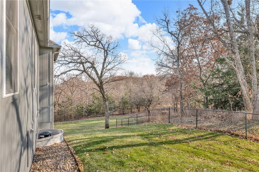 17342 Blue Moon Lane — photo 65