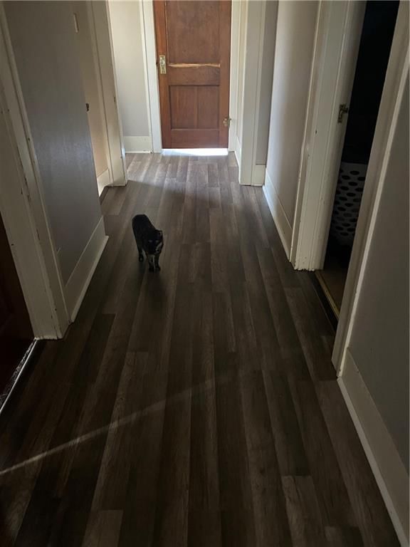 103 N WALNUT Street — photo 15