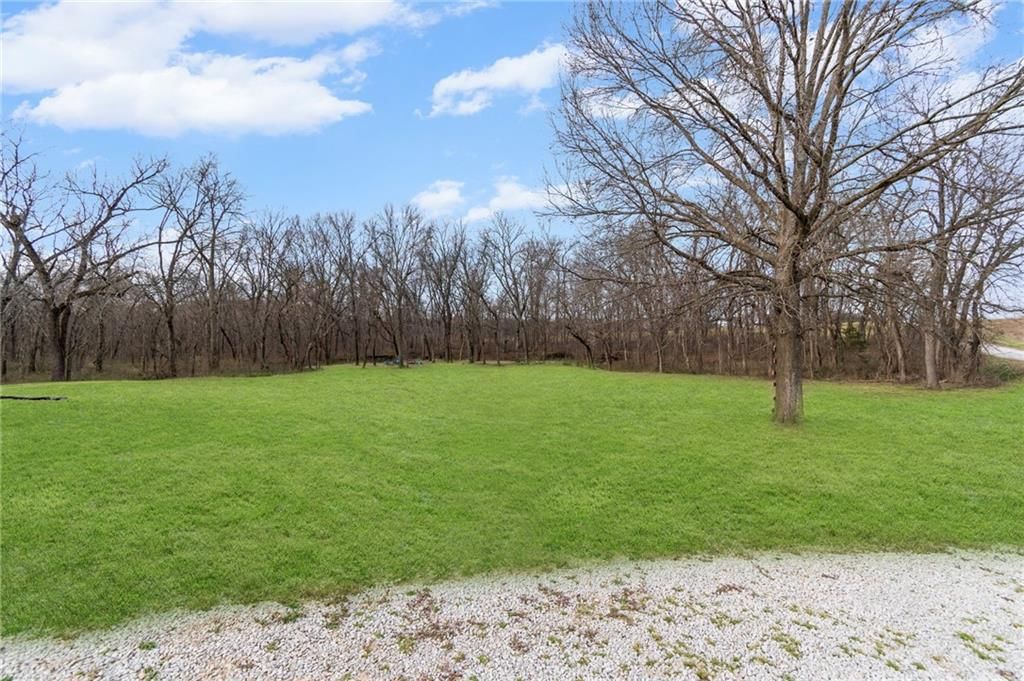 24915 CR 234 Road — photo 25