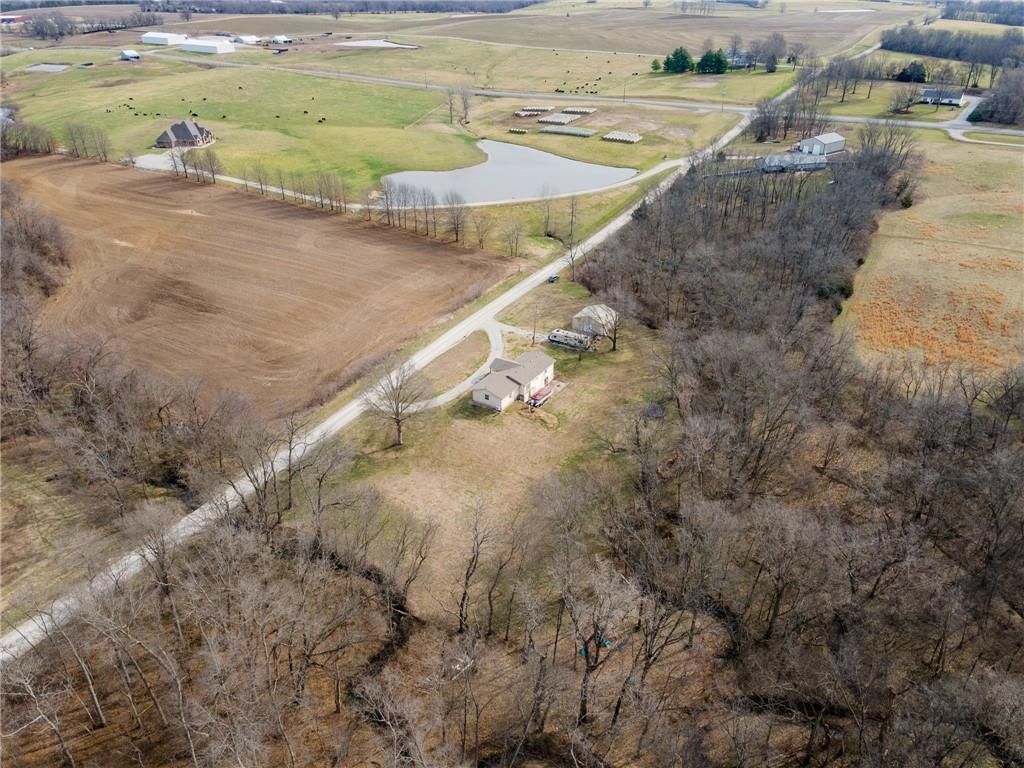 24915 CR 234 Road — photo 37