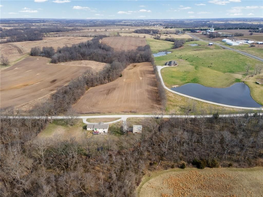 24915 CR 234 Road — photo 38