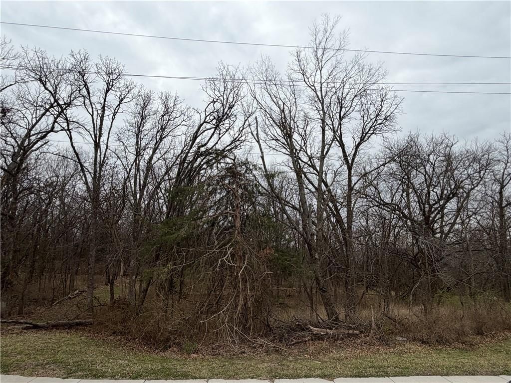 0000 Brown Avenue — photo 2