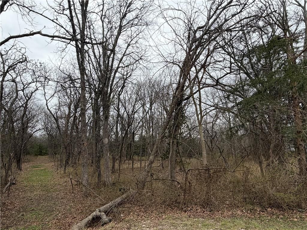 0000 Brown Avenue — photo 3