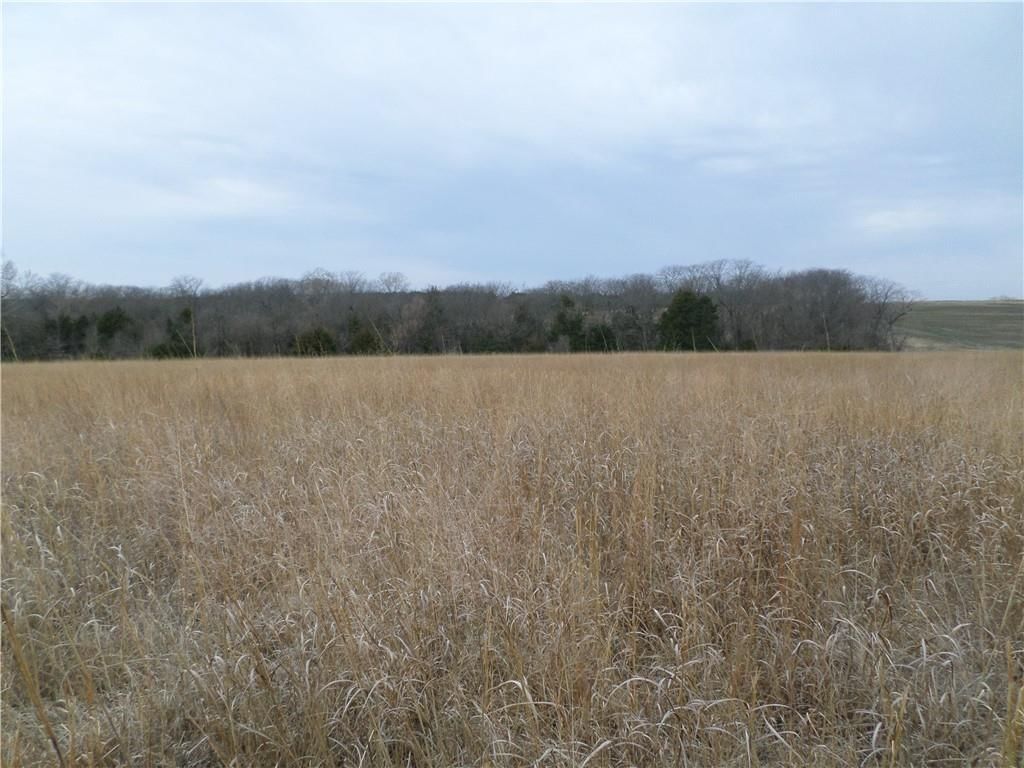 0000 278 Road — photo 4