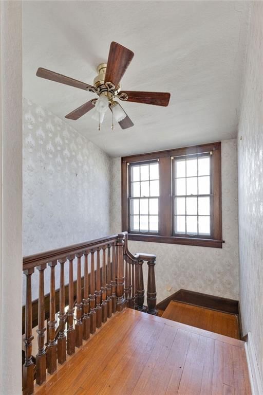 2807 Faraon Street — photo 19