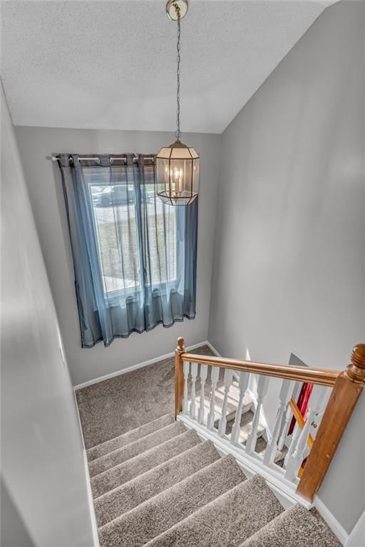 2904 Atchison Circle — photo 38