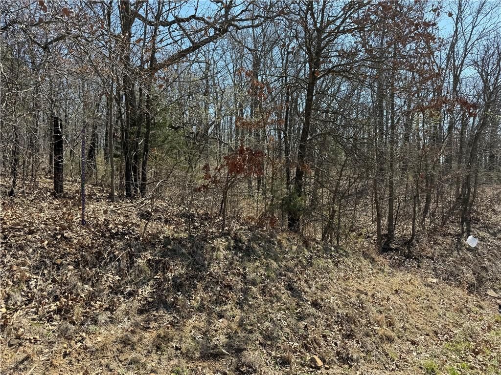 97 Highway — photo 3
