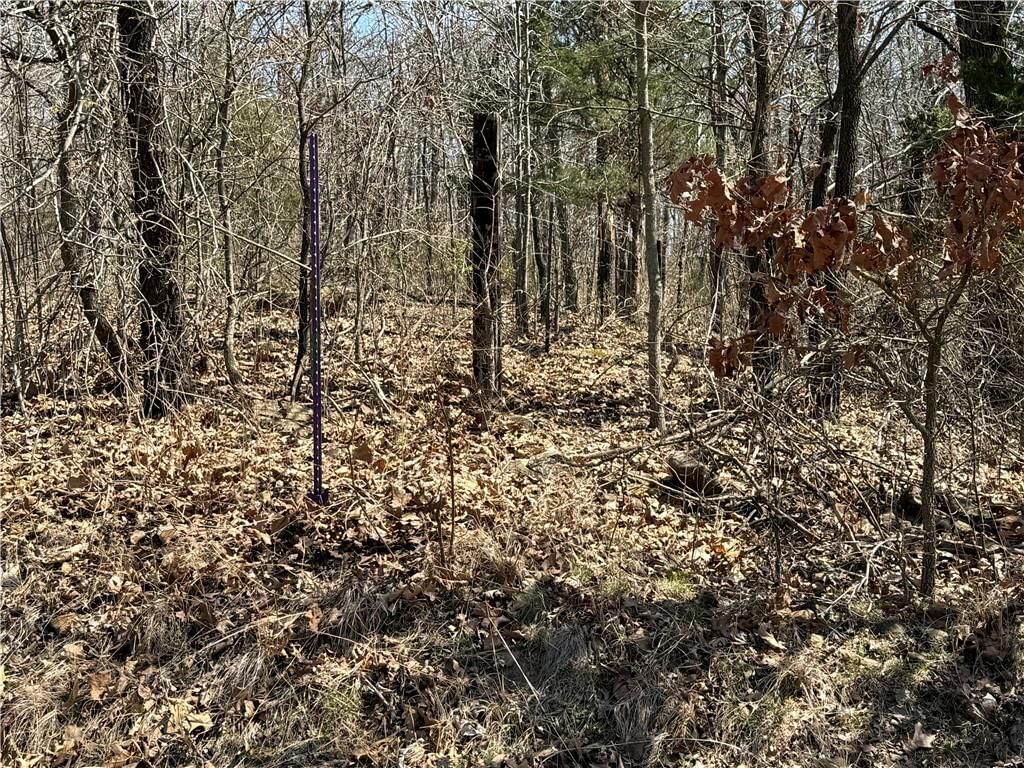 97 Highway — photo 4