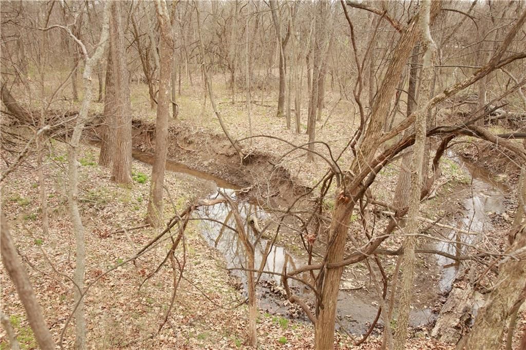 26313 S Smoke Road — photo 39