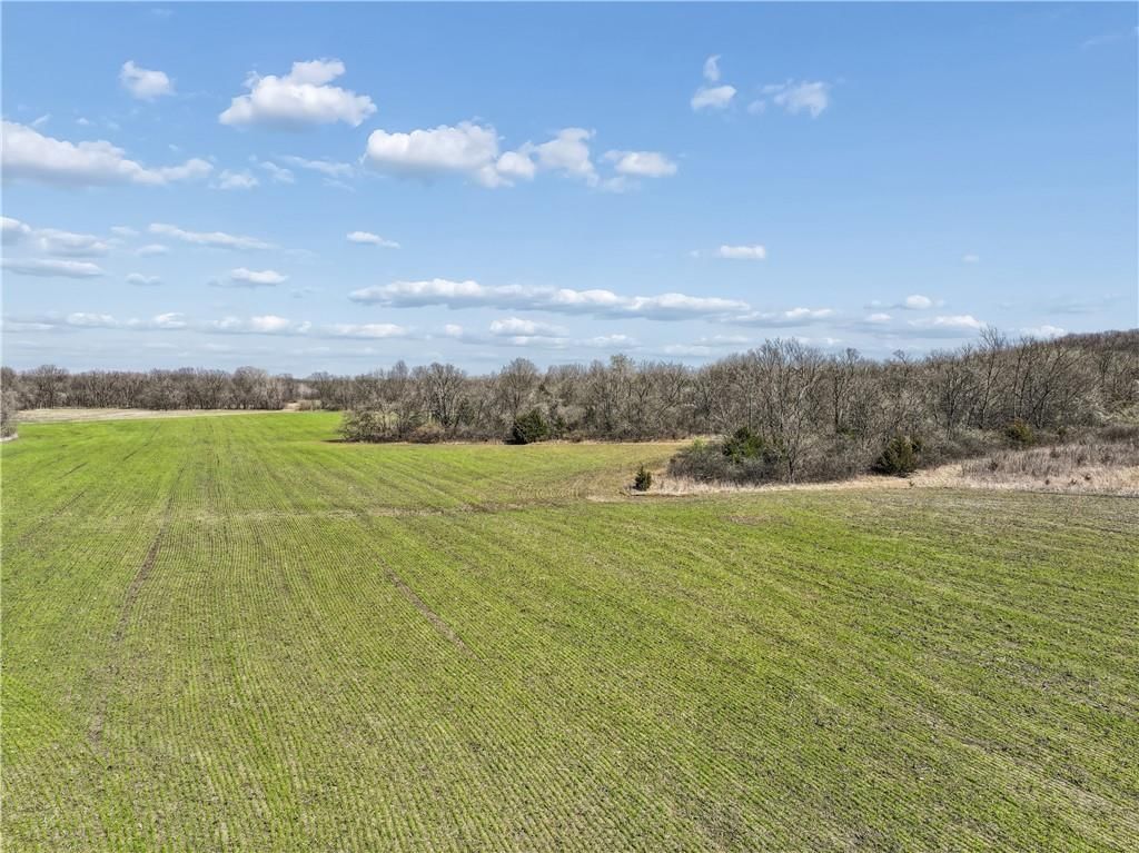 0000 E Tract 1, 331st Street — photo 22