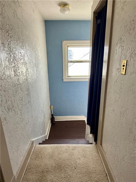 403 Chestnut Street — photo 15