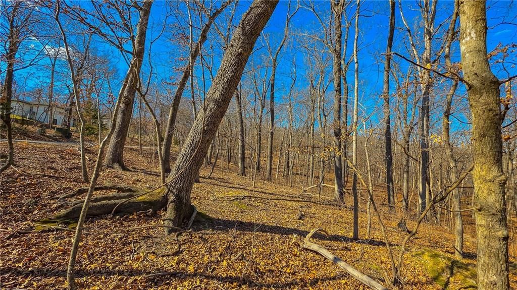 Lot #323 Oak Drive — photo 3