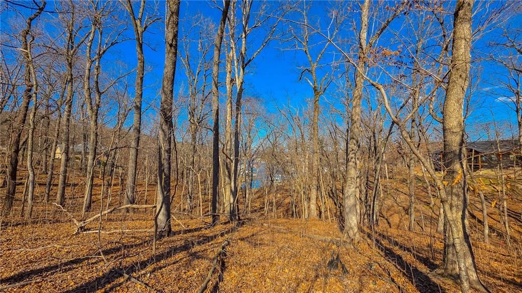Lot #323 Oak Drive — photo 4