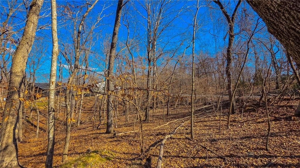 Lot #323 Oak Drive — photo 5