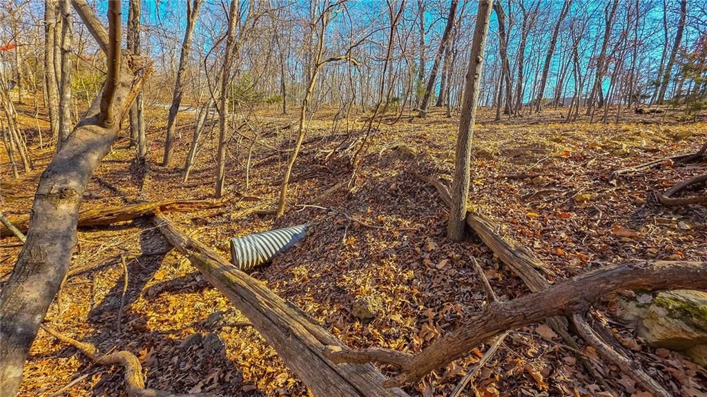 Lot #323 Oak Drive — photo 8