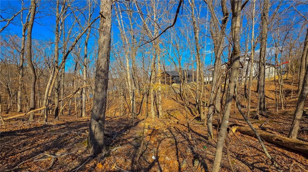 Lot #323 Oak Drive — photo 9