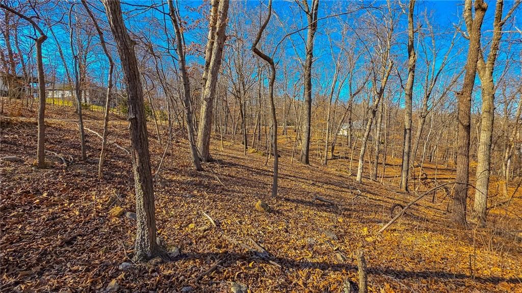 Lot #323 Oak Drive — photo 11