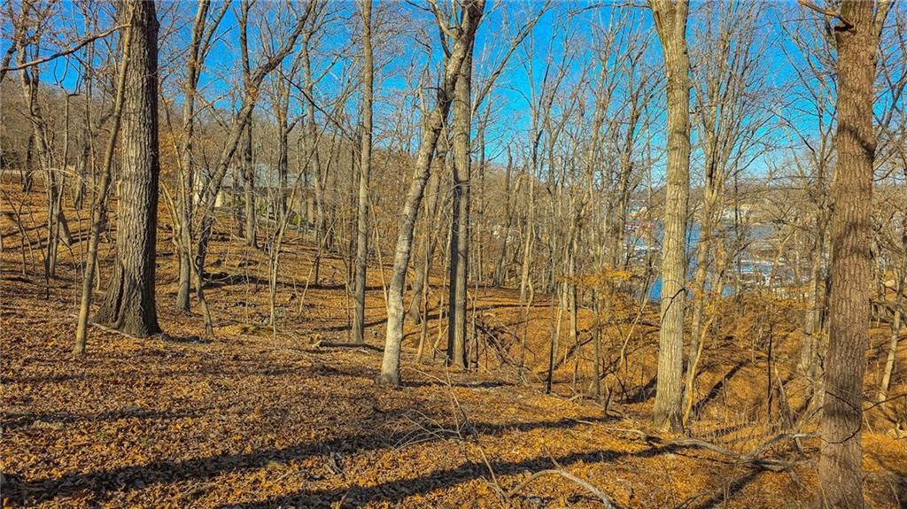 Lot #323 Oak Drive — photo 12