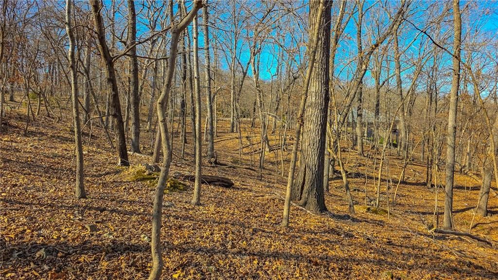 Lot #323 Oak Drive — photo 13
