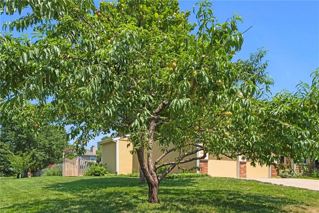 1204 Chadwick Court — photo 4