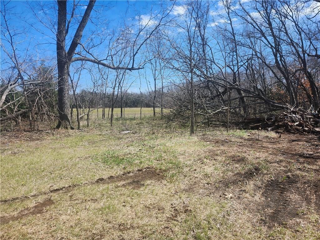 23779 County Road 1077 Road — photo 10