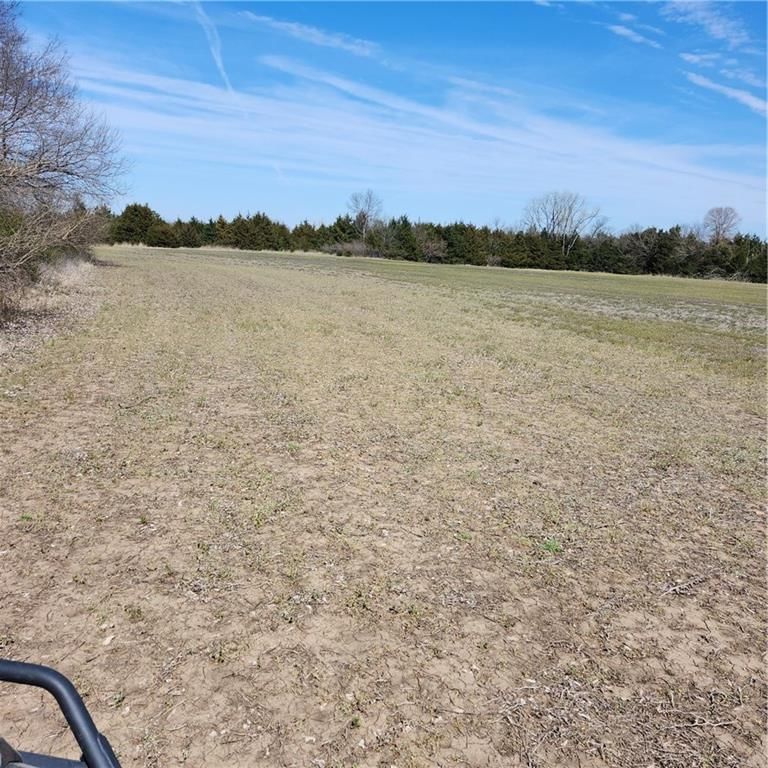 23779 County Road 1077 Road — photo 15
