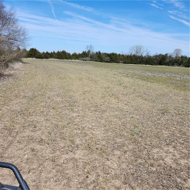 23779 County Road 1077 Road — photo 16