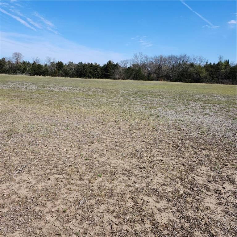 23779 County Road 1077 Road — photo 17