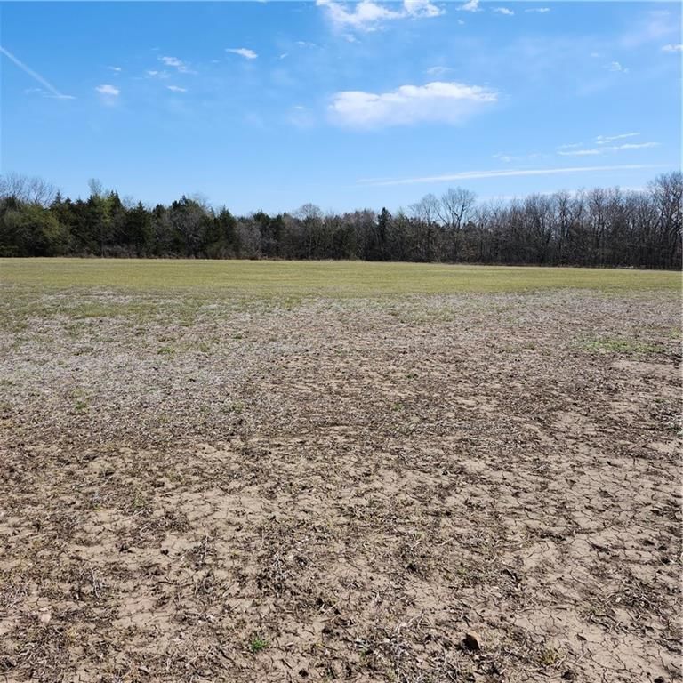 23779 County Road 1077 Road — photo 18