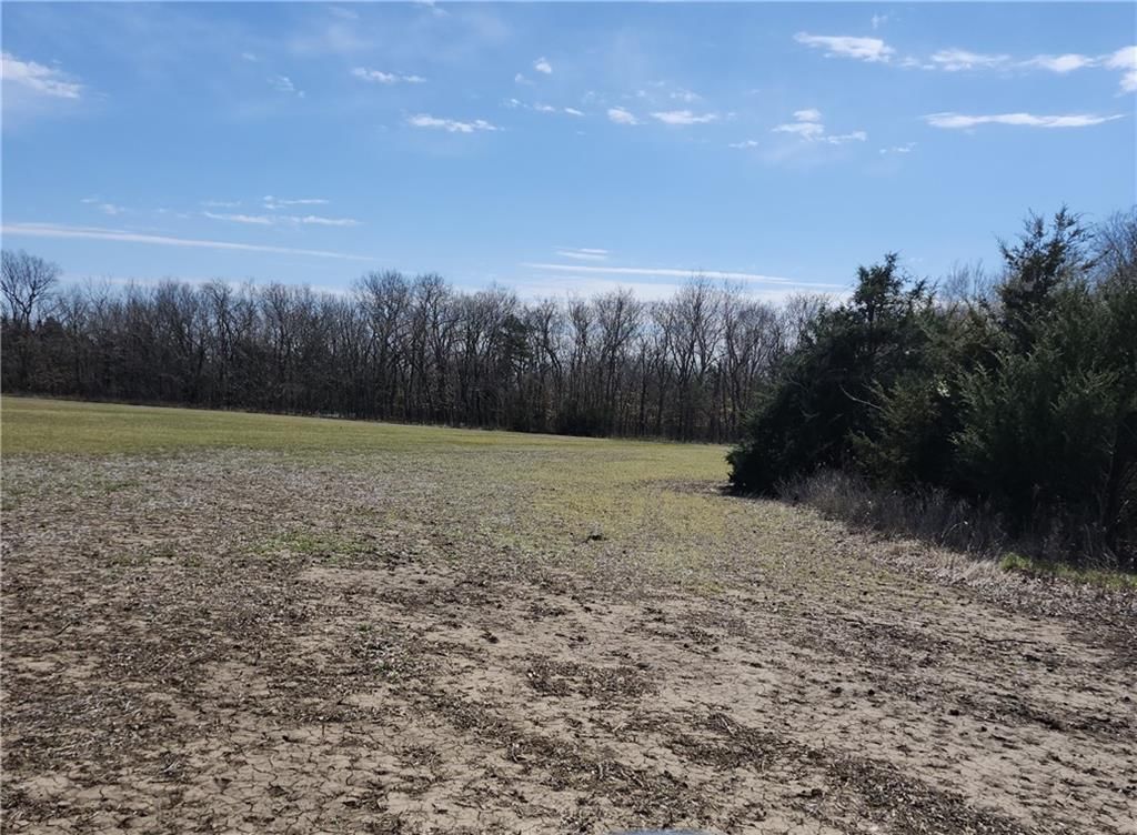 23779 County Road 1077 Road — photo 19