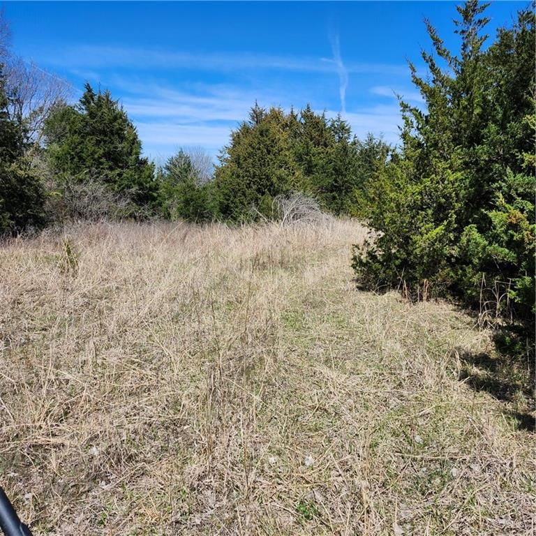 23779 County Road 1077 Road — photo 22