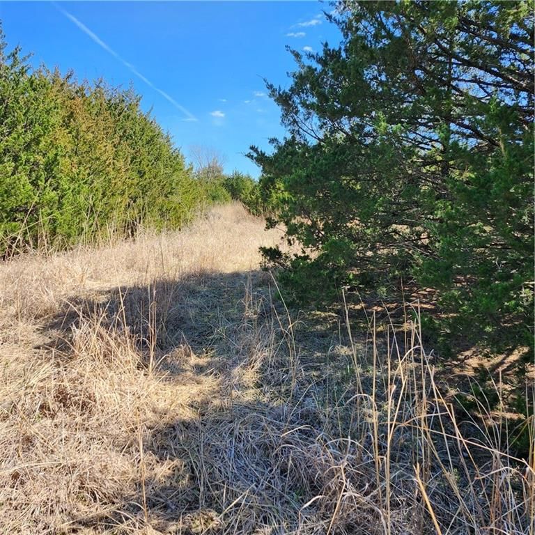 23779 County Road 1077 Road — photo 23