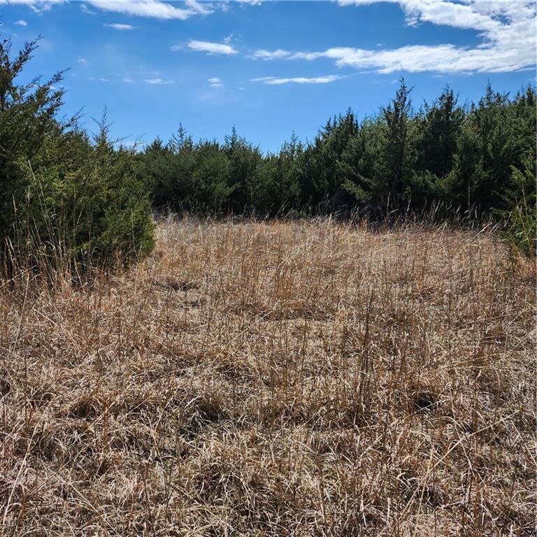 23779 County Road 1077 Road — photo 24