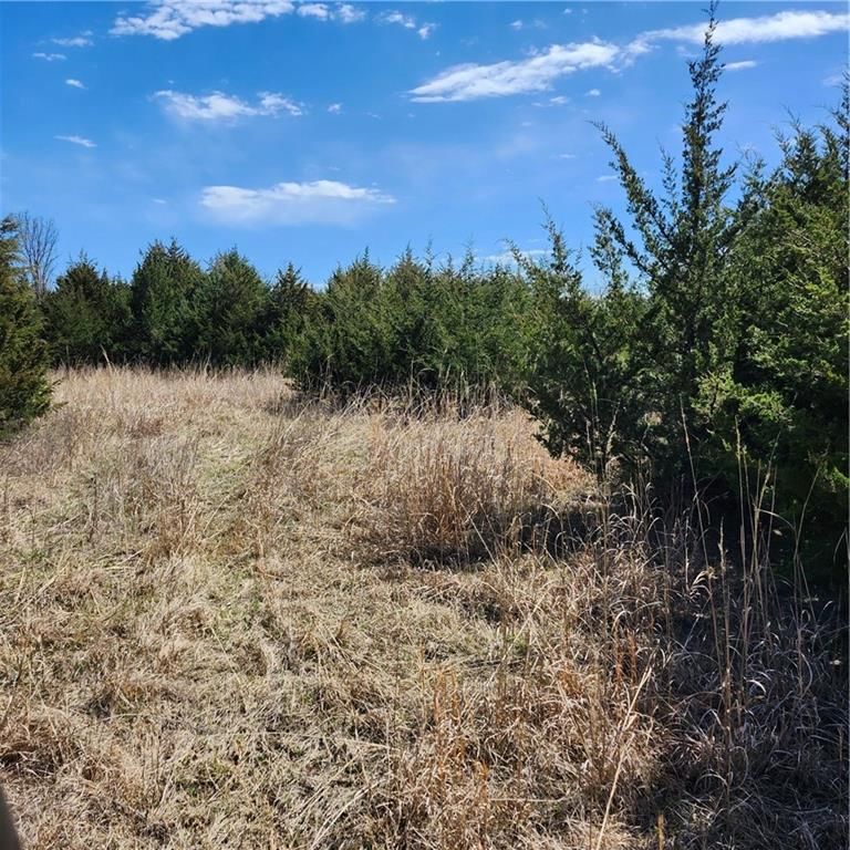23779 County Road 1077 Road — photo 26