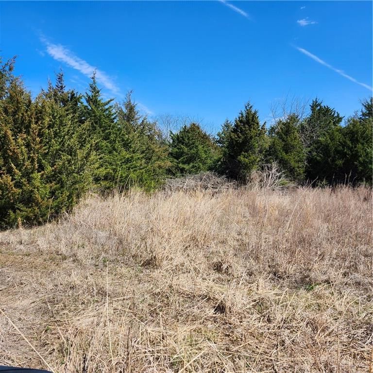 23779 County Road 1077 Road — photo 28