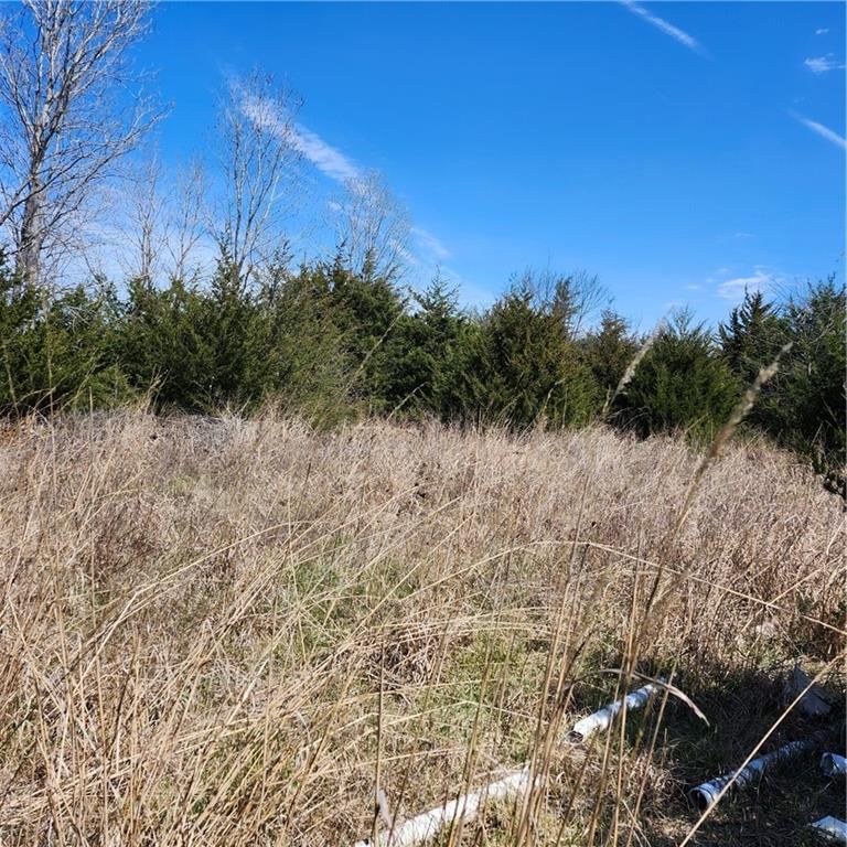 23779 County Road 1077 Road — photo 30