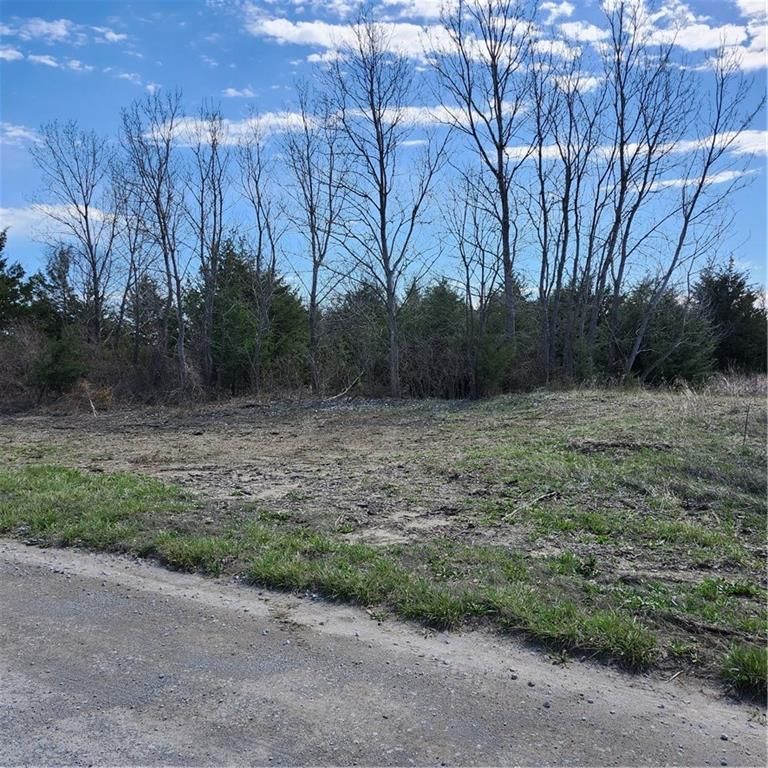 23779 County Road 1077 Road — photo 31
