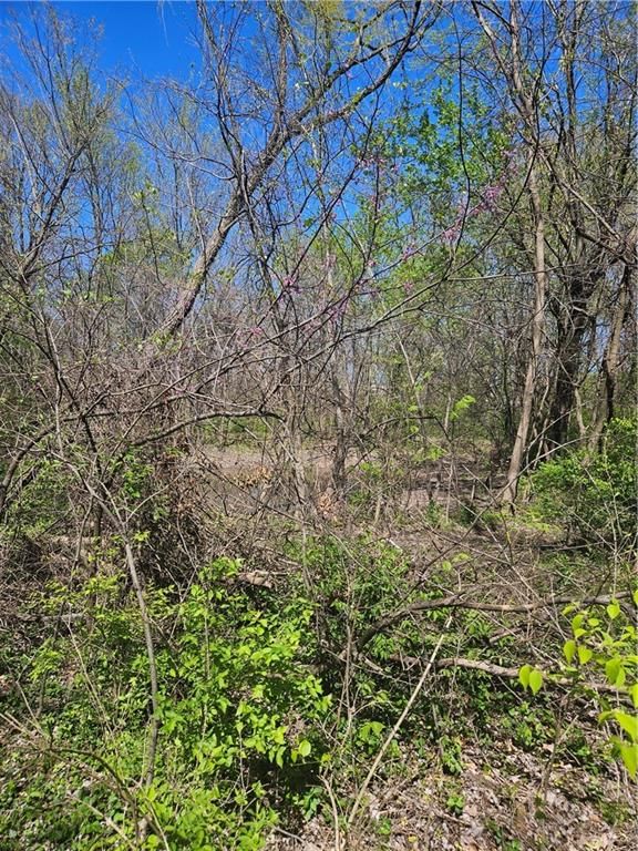 1020 W Henry Street — photo 14