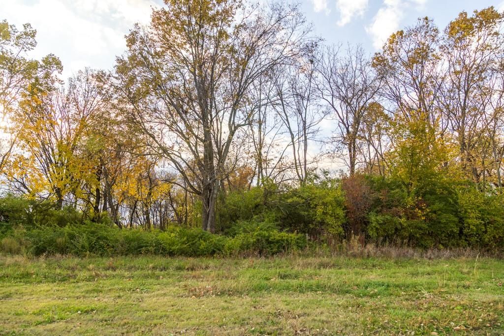 Lot 1 Timber Ridge Drive — photo 23