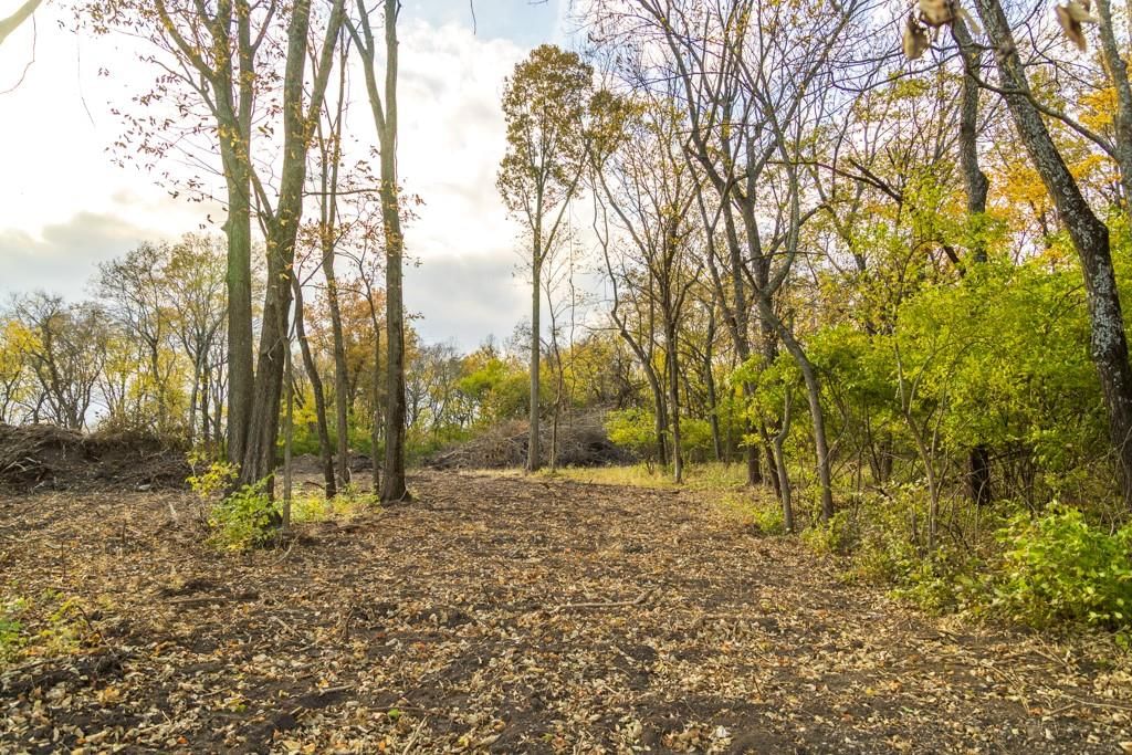 Lot 1 Timber Ridge Drive — photo 26