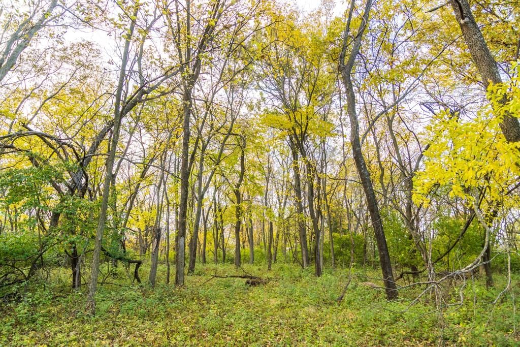 Lot 1 Timber Ridge Drive — photo 29