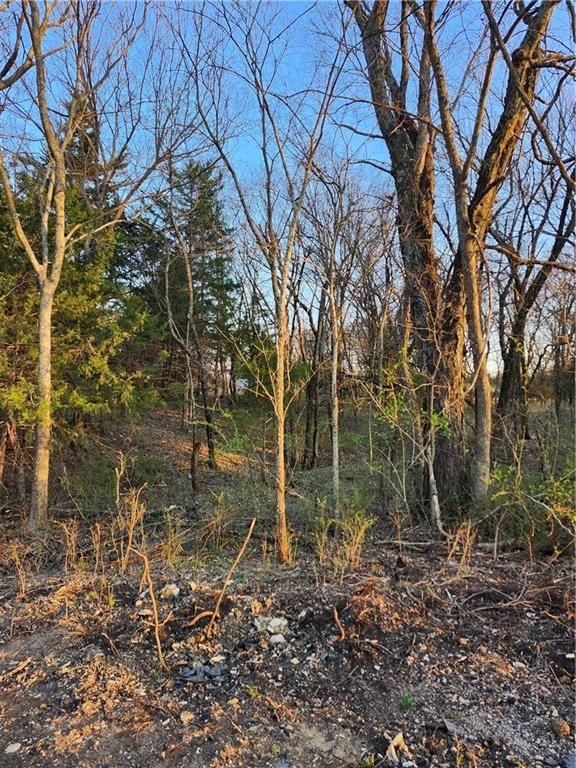 62 S Linn Valley Drive — photo 3