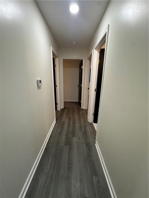 10503 skiles Street — photo 23