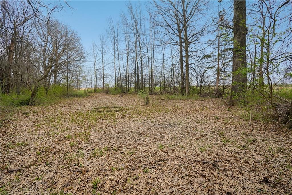 24237 Husk Road — photo 32