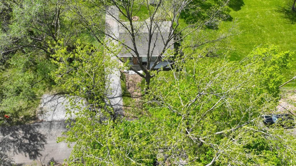2514 S Race Avenue — photo 45