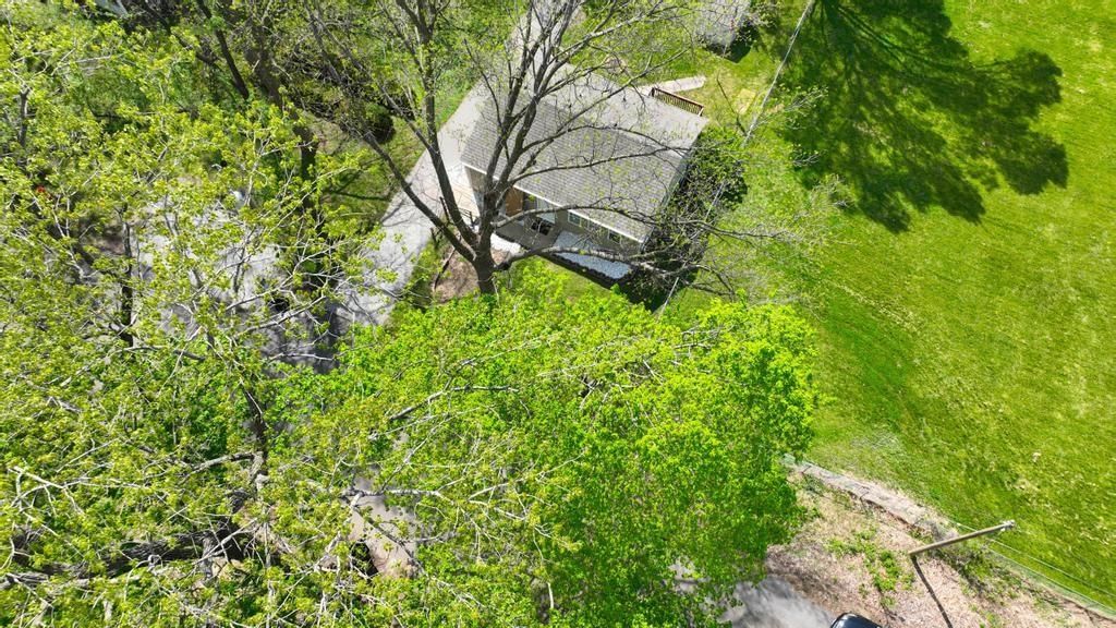 2514 S Race Avenue — photo 47