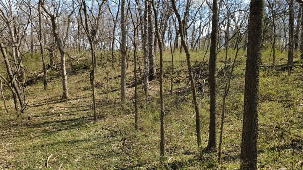 1611 Sunrise Drive — photo 3
